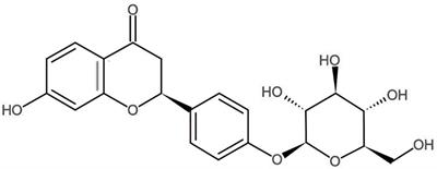 Liquiritin Alleviates Pain Through Inhibiting CXCL1/CXCR2 Signaling Pathway in Bone Cancer Pain Rat